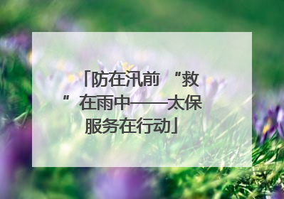 防在汛前 “救”在雨中——太保服务在行动