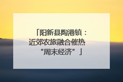 阳新县陶港镇：近郊农旅融合催热“周末经济”
