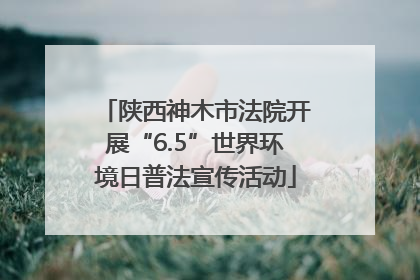 陕西神木市法院开展“6.5”世界环境日普法宣传活动