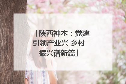 陕西神木：党建引领产业兴 乡村振兴谱新篇