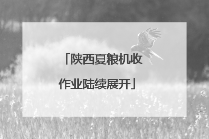 陕西夏粮机收作业陆续展开