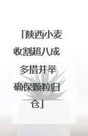 陕西小麦收割超八成 多措并举确保颗粒归仓