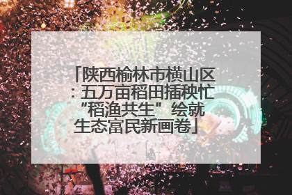 陕西榆林市横山区：五万亩稻田插秧忙 “稻渔共生”绘就生态富民新画卷