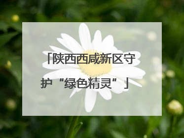 陕西西咸新区守护“绿色精灵”