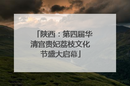 陕西：第四届华清宫贵妃荔枝文化节盛大启幕