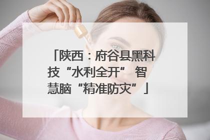 陕西：府谷县黑科技“水利全开” 智慧脑“精准防灾”