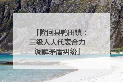 隆回县鸭田镇：三级人大代表合力调解矛盾纠纷