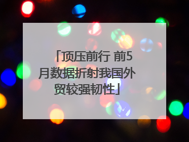 顶压前行 前5月数据折射我国外贸较强韧性