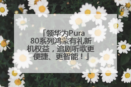 领华为Pura 80系列鸿蒙有礼新机权益，追剧听歌更便捷、更智能！