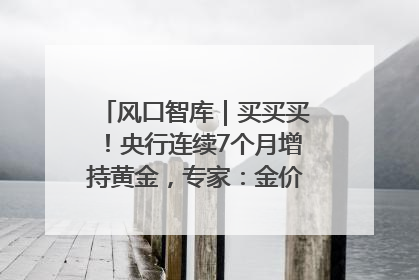 风口智库｜买买买！央行连续7个月增持黄金，专家：金价或仍易涨难跌