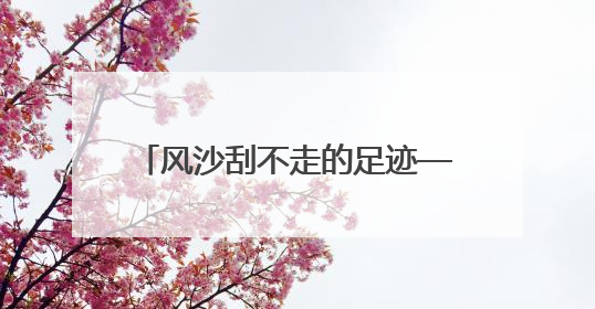 风沙刮不走的足迹——彰武“逐绿”记