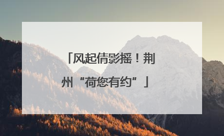 风起倩影摇！荆州“荷您有约”