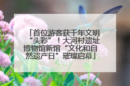 首位游客获千年文明“头彩”！大河村遗址博物馆新馆“文化和自然遗产日”璀璨启幕