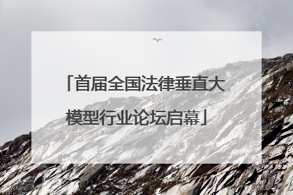 首届全国法律垂直大模型行业论坛启幕