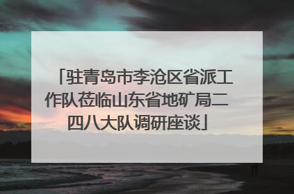 驻青岛市李沧区省派工作队莅临山东省地矿局二四八大队调研座谈