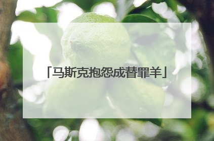 马斯克抱怨成替罪羊