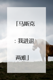 马斯克：我进退两难