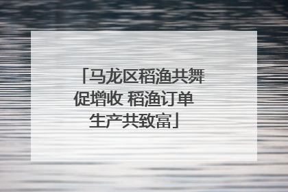 马龙区稻渔共舞促增收 稻渔订单生产共致富