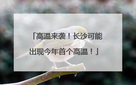 高温来袭！长沙可能出现今年首个高温！