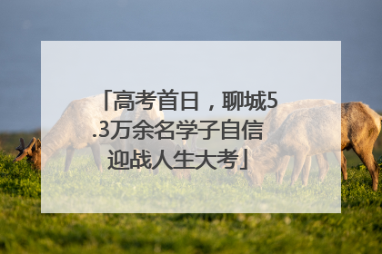 高考首日，聊城5.3万余名学子自信迎战人生大考