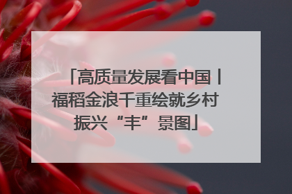 高质量发展看中国丨福稻金浪千重绘就乡村振兴“丰”景图