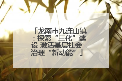 龙南市九连山镇：探索“三化”建设 激活基层社会治理“新动能”