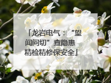龙岩电气：“望闻问切”查隐患 精检精修保安全