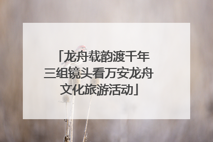 龙舟载韵渡千年 三组镜头看万安龙舟文化旅游活动