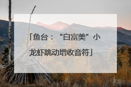 鱼台：“白富美”小龙虾跳动增收音符