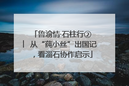 鲁渝情·石柱行② ︳从“莼小丝”出国记，看淄石协作启示