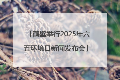 鹤壁举行2025年六五环境日新闻发布会