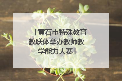 黄石市特殊教育教联体举办教师教学能力大赛
