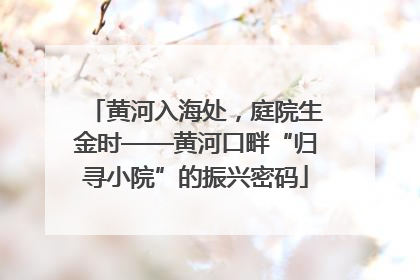 黄河入海处，庭院生金时——黄河口畔“归寻小院”的振兴密码