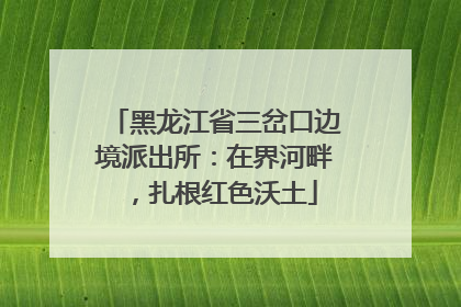 黑龙江省三岔口边境派出所：在界河畔，扎根红色沃土