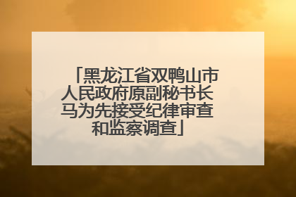 黑龙江省双鸭山市人民政府原副秘书长马为先接受纪律审查和监察调查