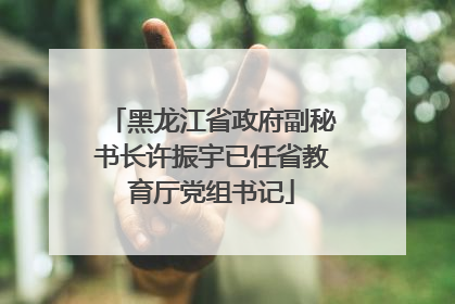 黑龙江省政府副秘书长许振宇已任省教育厅党组书记