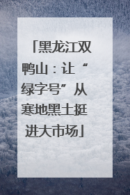 黑龙江双鸭山：让“绿字号”从寒地黑土挺进大市场