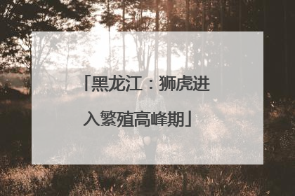 黑龙江：狮虎进入繁殖高峰期