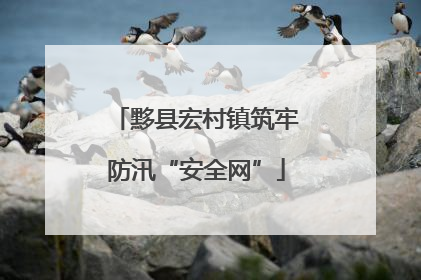 黟县宏村镇筑牢防汛“安全网”