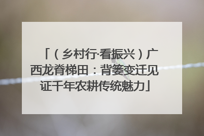 （乡村行·看振兴）广西龙脊梯田：背篓变迁见证千年农耕传统魅力
