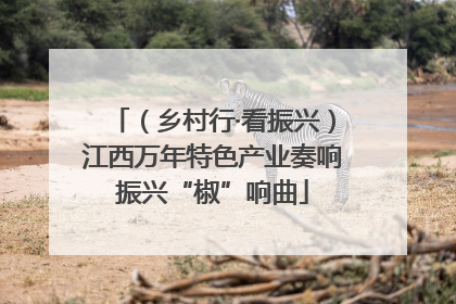 （乡村行·看振兴）江西万年特色产业奏响振兴“椒”响曲