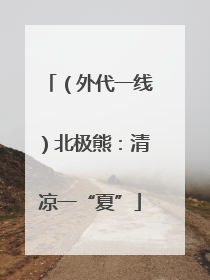 （外代一线）北极熊：清凉一“夏”