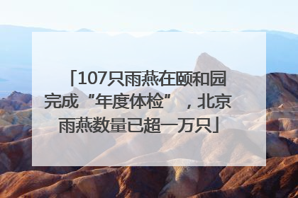 107只雨燕在颐和园完成“年度体检”，北京雨燕数量已超一万只