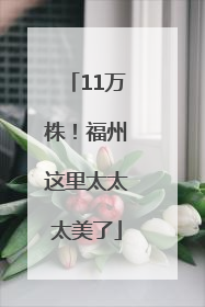 11万株！福州这里太太太美了
