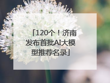 120个！济南发布首批AI大模型推荐名录