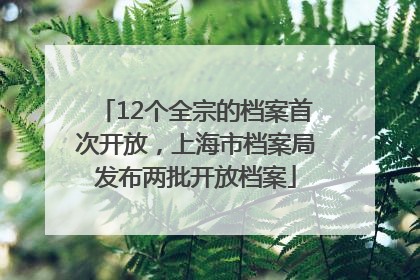 12个全宗的档案首次开放，上海市档案局发布两批开放档案