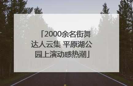 2000余名街舞达人云集 平原湖公园上演动感热潮