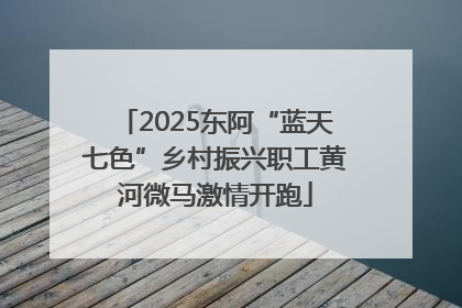2025东阿“蓝天七色”乡村振兴职工黄河微马激情开跑