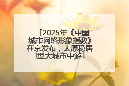 2025年《中国城市网络形象指数》在京发布，太原稳居I型大城市中游
