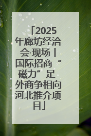 2025年廊坊经洽会·现场丨国际招商“磁力”足 外商争相向河北推介项目